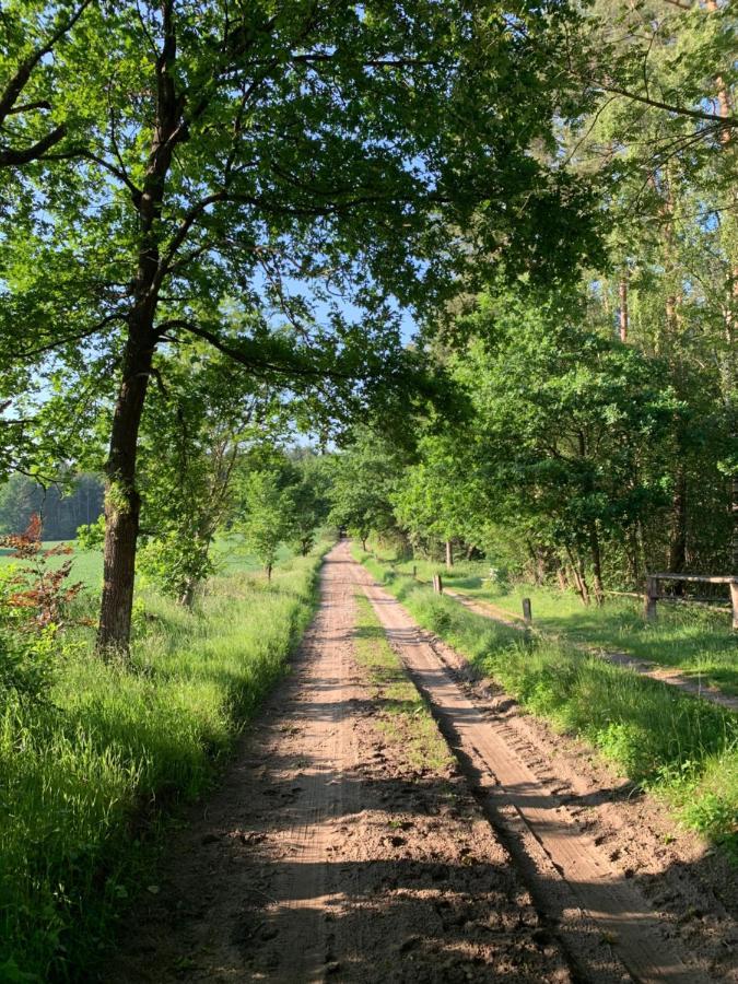 Loh Apartments - Wald.Natur.Ruhe. Undeloh Zewnętrze zdjęcie